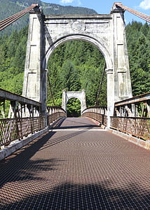 concrete bridge surrounded with trees thumbnail