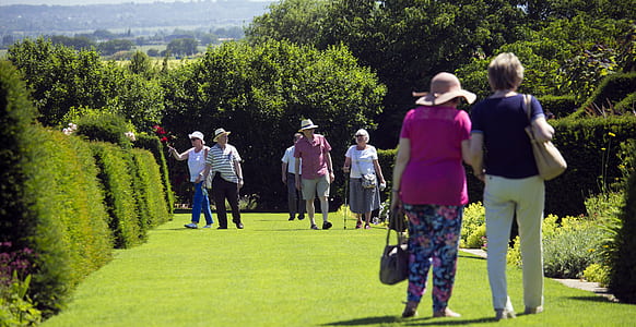 group of people walking on grass field with hedge walls thumbnail