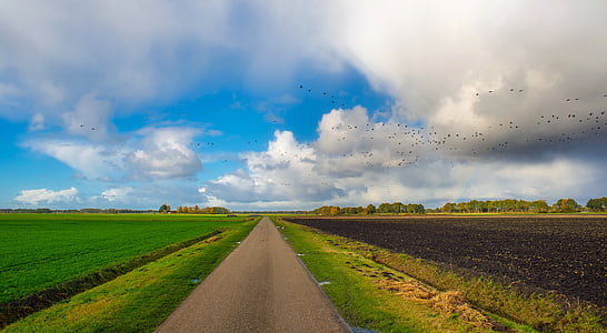 highway road between green grass field during daytime thumbnail