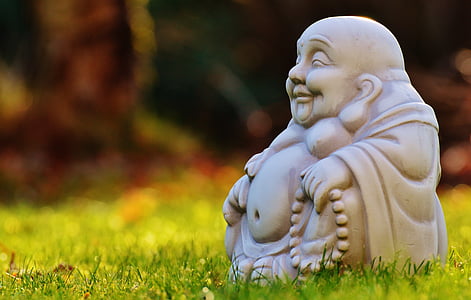 Buddha ceramic statue on green grass field thumbnail