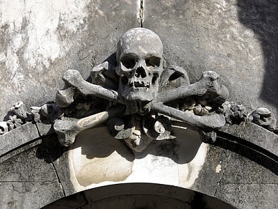 human skull gray concrete wall decor thumbnail