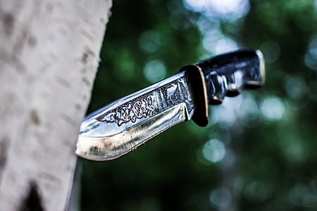 black handled knife pierced on gray tree bark in focus photography thumbnail