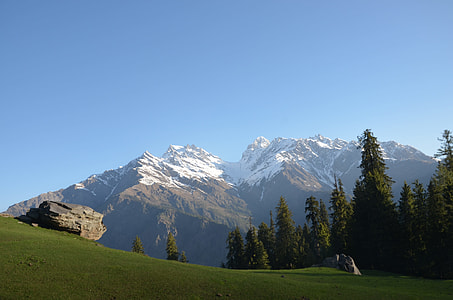 pine trees at the foot of snow cap mountain with facing green grass field during daytime thumbnail