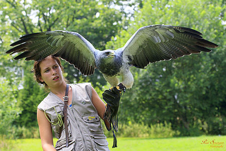 woman holding eagle during daytime thumbnail