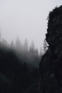 fog covered cliff thumbnail