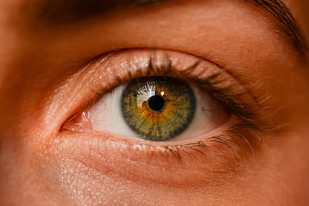 person with green and black eyes in close up photo thumbnail