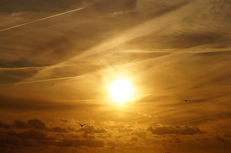 Sunrise Wallpaper thumbnail