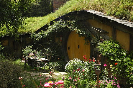 Hobbit's house surrounded with plants thumbnail