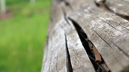 closeup photo of brown wood log thumbnail