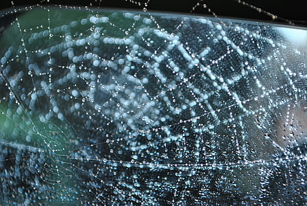 cobweb, raindrops, spider's web thumbnail