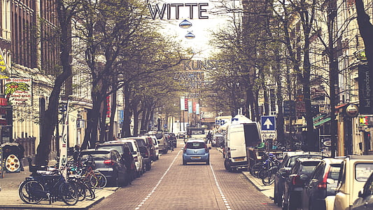 blue vehicle between trees and building thumbnail