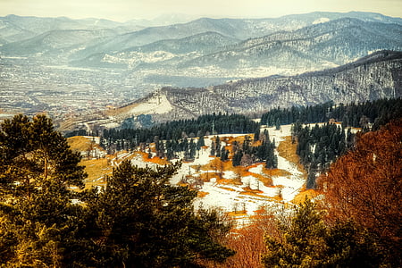 aerial view photography of trees near mountain thumbnail