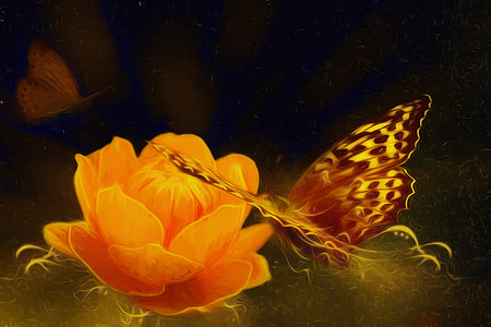 brown and black butterfly hovering near orange petaled flower illustration thumbnail