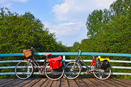 two red and black cruiser bike leaning on white and teal guardrail over body of water during daytime thumbnail