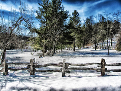 brown wooden fence near trees at daytime thumbnail