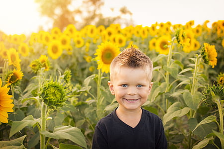 boy in sunflower field thumbnail