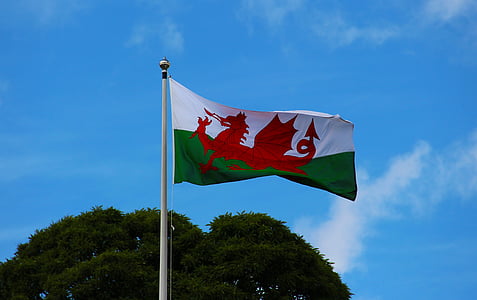 white and green flag thumbnail
