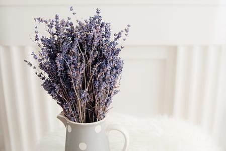 purple petaled flower on white ceramic picher thumbnail