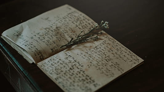 Close-up Photo of White and Black Journal thumbnail