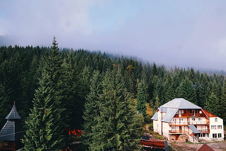 aerial photography of white and brown 3-storey house surrounded with pine trees thumbnail