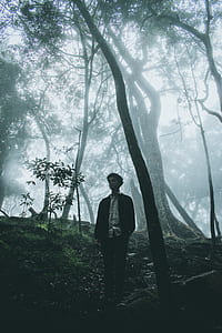 man standing in misty forest during daytime thumbnail