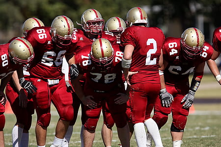 San Fransicso 49ers football team thumbnail