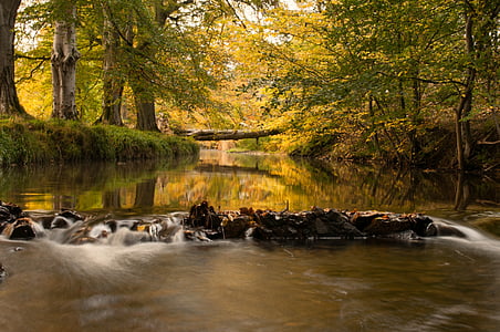 body of water between trees thumbnail
