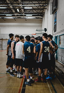 basketball players in white and brown court gathers for a plant thumbnail