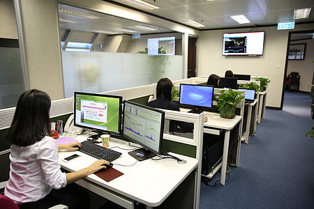 group of people sitting in front of desk working on their cubicles thumbnail