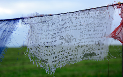 shallow focus photography of white textile thumbnail