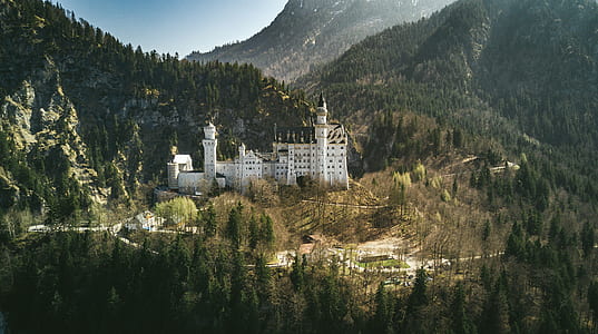 high-angle photography of white concrete castle surrounded by trees thumbnail
