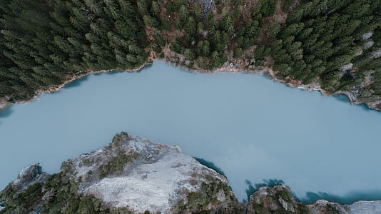 aerial photography of river in the middle of trees thumbnail