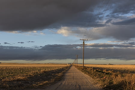 green grass with electric posts during daytime thumbnail