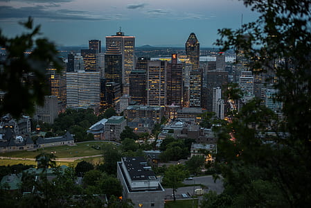 aerial view photography of city lights at night thumbnail