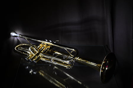 brass trumpet on black surface thumbnail