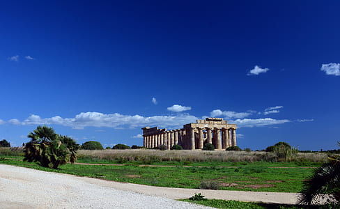 The Pathernon surrounding trees thumbnail