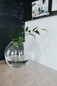 Home decor with green plants thumbnail