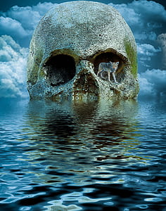 gray and beige wolf standing in left eye socket of skull on body of water digital wallpaper thumbnail