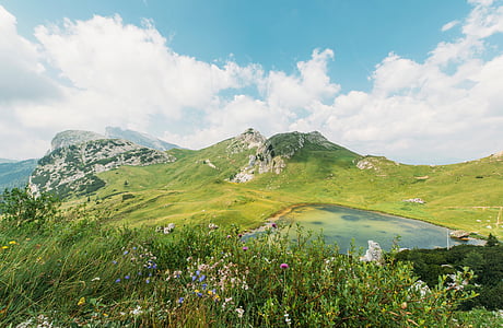 landscape photo of green mountain at daytime thumbnail