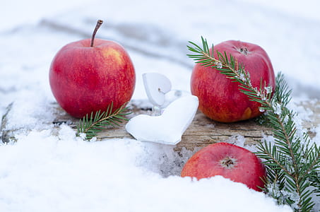 three apple on snow ground thumbnail