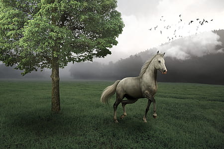 white horse running on grass field beside tree painting thumbnail