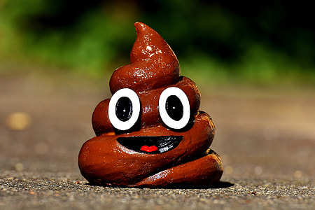 Poop digital wallpaper thumbnail