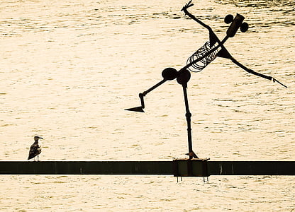 silhouette of man and bird perching on cable artwork thumbnail