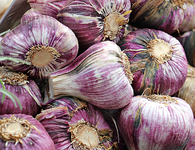 closeup photo of bunch of purple onions thumbnail
