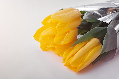 three yellow flowers in clear plastic pack thumbnail