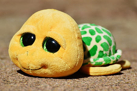 selective focus photography of yellow and green turtle plush toy thumbnail