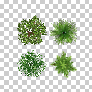 Tree, Overlooking the trees, four green leaf plants illustration PNG clipart