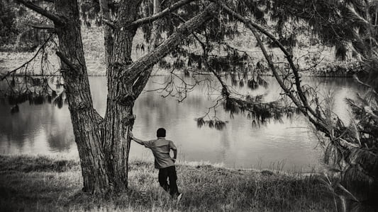 man standing beside tree thumbnail
