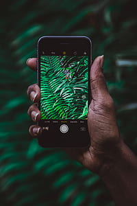 person holding space gray iPhone 6 showing plants thumbnail