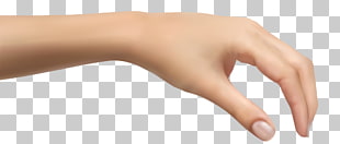 Hand , Human Hand , person's left hand PNG clipart